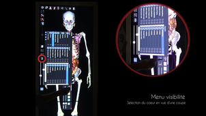 Anatomy table