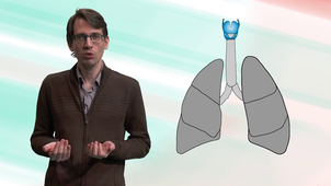 E4 - Le rôle des poumons