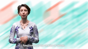 C2 - Understanding the hormonal system and its role in fertility.mp4