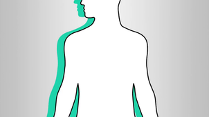 E2 - Le rôle du coeur