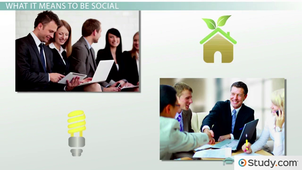 SOCIAL RESPONSIBILITY IN ORGANIZATIONS