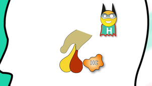 G2 - Comprendre le système hormonal