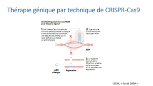 Séquence 4.2