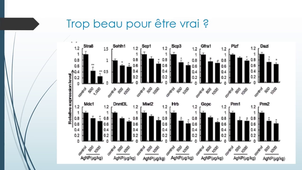Lecture critique d'un article scientifique (vidéo).mp4