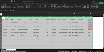 excel10_filtrer.mp4