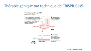 Séquence 4.1
