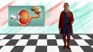 I3 - Dépister des problèmes oculaires