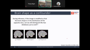 COURSE C5 - Deep networks uncertainties and interpretability for medical image and signal analysis