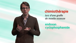 E3 - Les risques de complications cardiaques