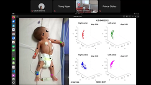 COURSE C1.1 - Deep Learning-Based Video and Spatio-Temporal Analysis for Medical and Biomedical Images